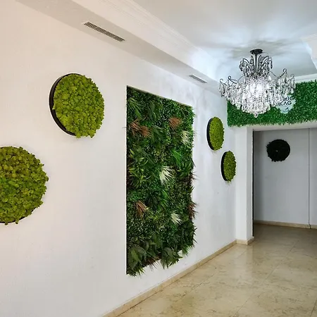 Apartment Dez Zz Navodari